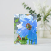 Himalayan Blue Poppy:Briefkaart Briefkaart (Staand voorkant)