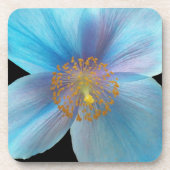 Himalayan Blue Poppy Floral Bier Onderzetter (Voorkant)