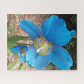 Himalayan Blue Poppy Floral Legpuzzel (Horizontaal)