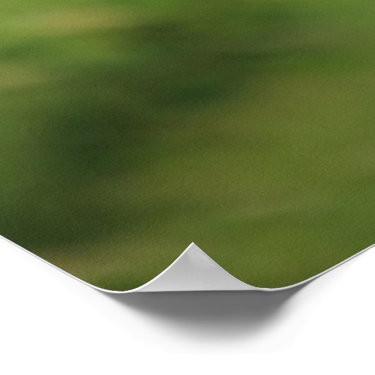 Himalayan Blue Poppy Flowers Poster (Hoek)