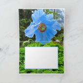 Himalayan blue poppy kaart (Binnen)