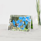 Himalayan blue poppy kaart (Voorkant)
