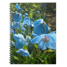 Himalayan Blue Poppy-laptop met 80 pagina's