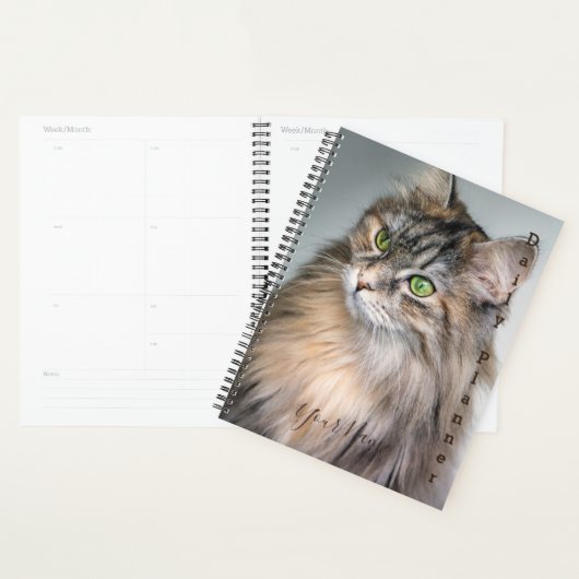 Himalayan Cat - Daily Planner - HAMbWG (Display)
