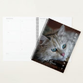 Himalayan Cat - Daily Planner - HAMbWG (Display)