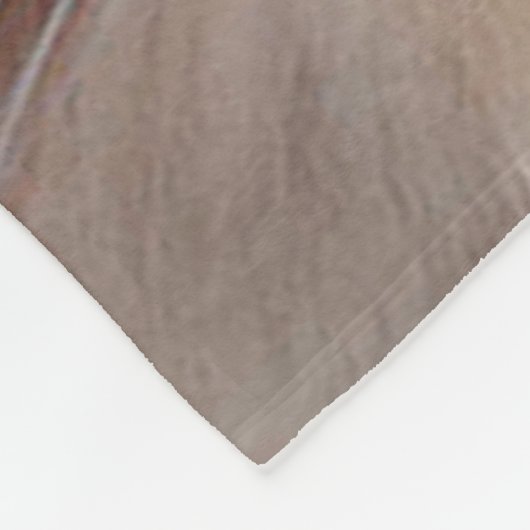 Himalayan Cat Fleece Deken (Hoek)