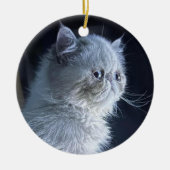 Himalayan Cat Keramisch Ornament (Voorkant)