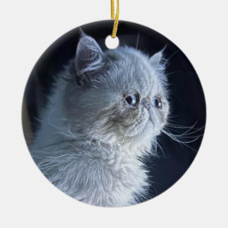 Himalayan Cat Keramisch Ornament