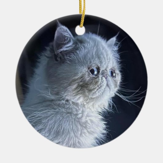 Himalayan Cat Keramisch Ornament (Voorkant)
