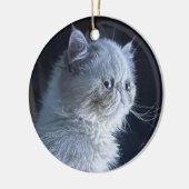 Himalayan Cat Keramisch Ornament (Links)