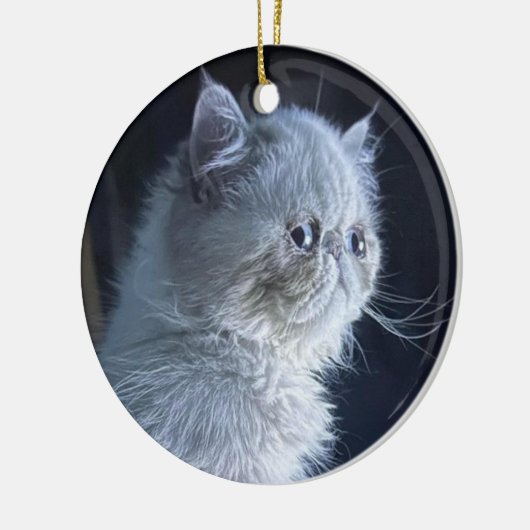 Himalayan Cat Keramisch Ornament (Links)