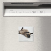 Himalayan Cat Lying op zijn rug Magneet (Insitu (Vaatwasser))