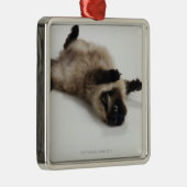 Himalayan Cat Lying op zijn rug Metalen Ornament (Rechts)