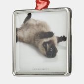 Himalayan Cat Lying op zijn rug Metalen Ornament (Links)