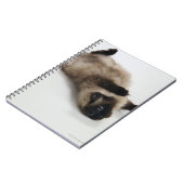 Himalayan Cat Lying op zijn rug Notitieboek (Linkerzijde)