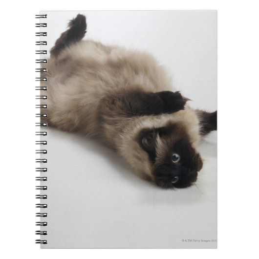 Himalayan Cat Lying op zijn rug Notitieboek (Voorkant)