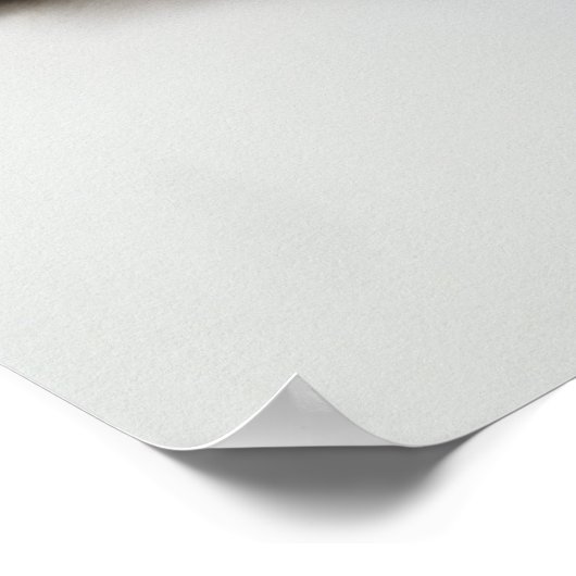 Himalayan Cat Lying op zijn rug Poster (Hoek)