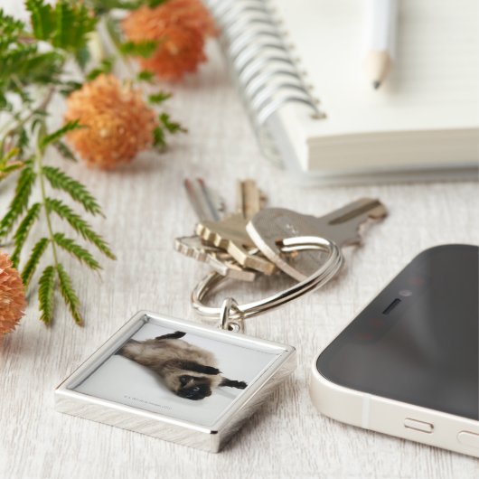 Himalayan Cat Lying op zijn rug Sleutelhanger (Zijkant)