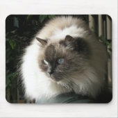 Himalayan Cat Muismat (Voorkant)