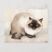 Himalayan Cat Original Art Briefkaart (Voorkant)