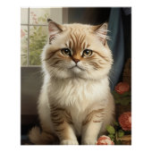 Himalayan Cat Perfect Poster (Voorkant)