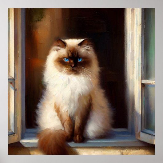 Himalayan Cat Poster (Voorkant)