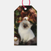 Himalayan kitten Kerstmis Cadeaulabel (Voorkant)