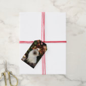 Himalayan kitten Kerstmis Cadeaulabel (Met Touw)