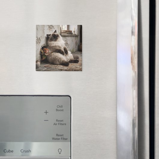 Himalayan Kitty en Pixie Wakker Schrik Magneet (Insitu (Koelkast))