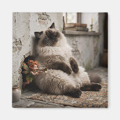 Himalayan Kitty en Pixie Wakker Schrik Magneet (Voorkant)