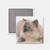 Himalayan Magneet (Voorkant / Achterkant)