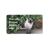 Himalayan Mix cat Etiket (Voorkant)