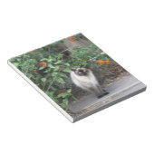 Himalayan Mix Cat Notitieblok (Schuin)