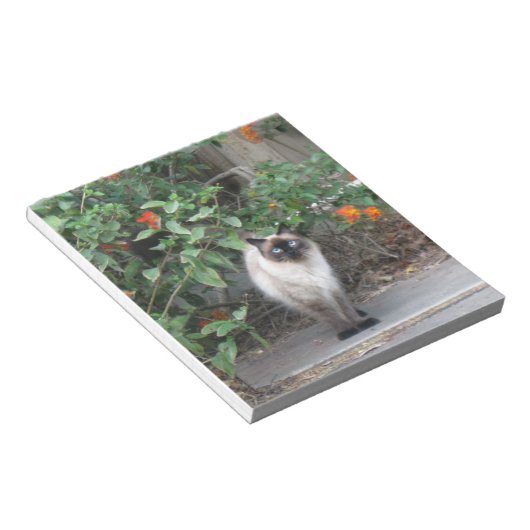 Himalayan Mix Cat Notitieblok (Schuin)