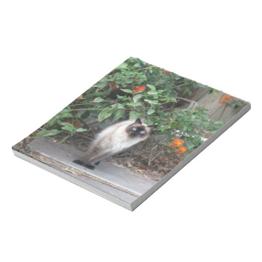 Himalayan Mix Cat Notitieblok (Linkerzijde)