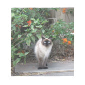 Himalayan Mix Cat Notitieblok (Voorkant)