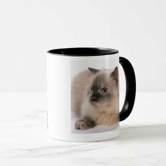 Himalayan Mok (Voorkant rechts)