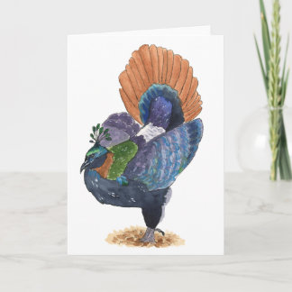 Himalayan Monal Fazant Wenskaart | Kleurrijk Kaart