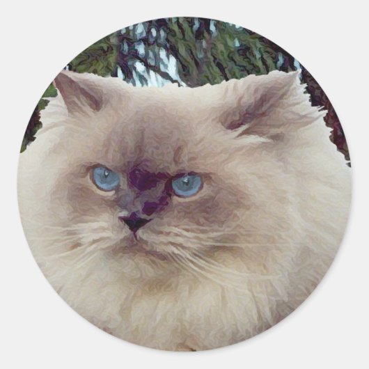 Himalayan Persian Cat Ronde Sticker (Voorkant)