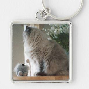 Himalayan Persian Cat Sleutelhanger