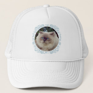 Himalayan Persian Cat Trucker Pet