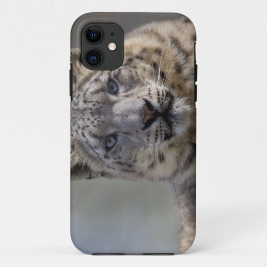 Himalayan Prince iPhone 5 Case-Mate Case (Achterkant)