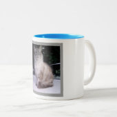 Himalayan Tabby Siamese Maine Coon Tweekleurige Koffiemok (Voorkant rechts)