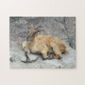 Himalayan Tahr Puzzle Legpuzzel (Horizontaal)