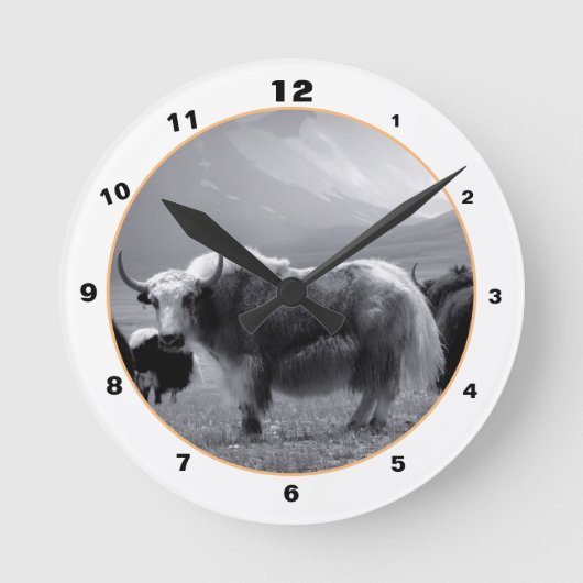 Himalayan Yaks & Mountains in Ladakh/Tibet Yak Ronde Klok (Voorkant)
