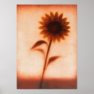 Himawari Zonnebloem Japanse Bloemige Abstractie Poster