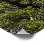 Himeji Castle 姫 路 城, Hyogo, Japan Poster (Hoek)