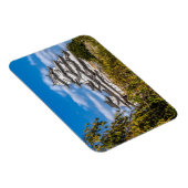 Himeji castle #5, Japan Magneet (Rechterzijde)