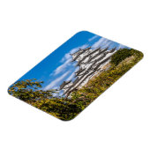 Himeji castle #5, Japan Magneet (Linkerzijde)