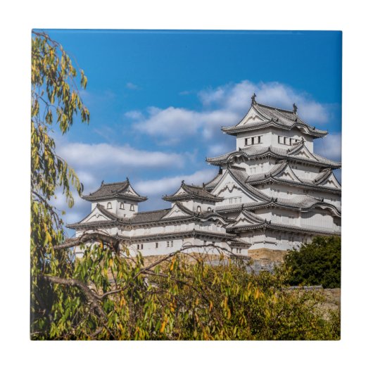 Himeji castle #5, Japan Tegeltje (Voorkant)